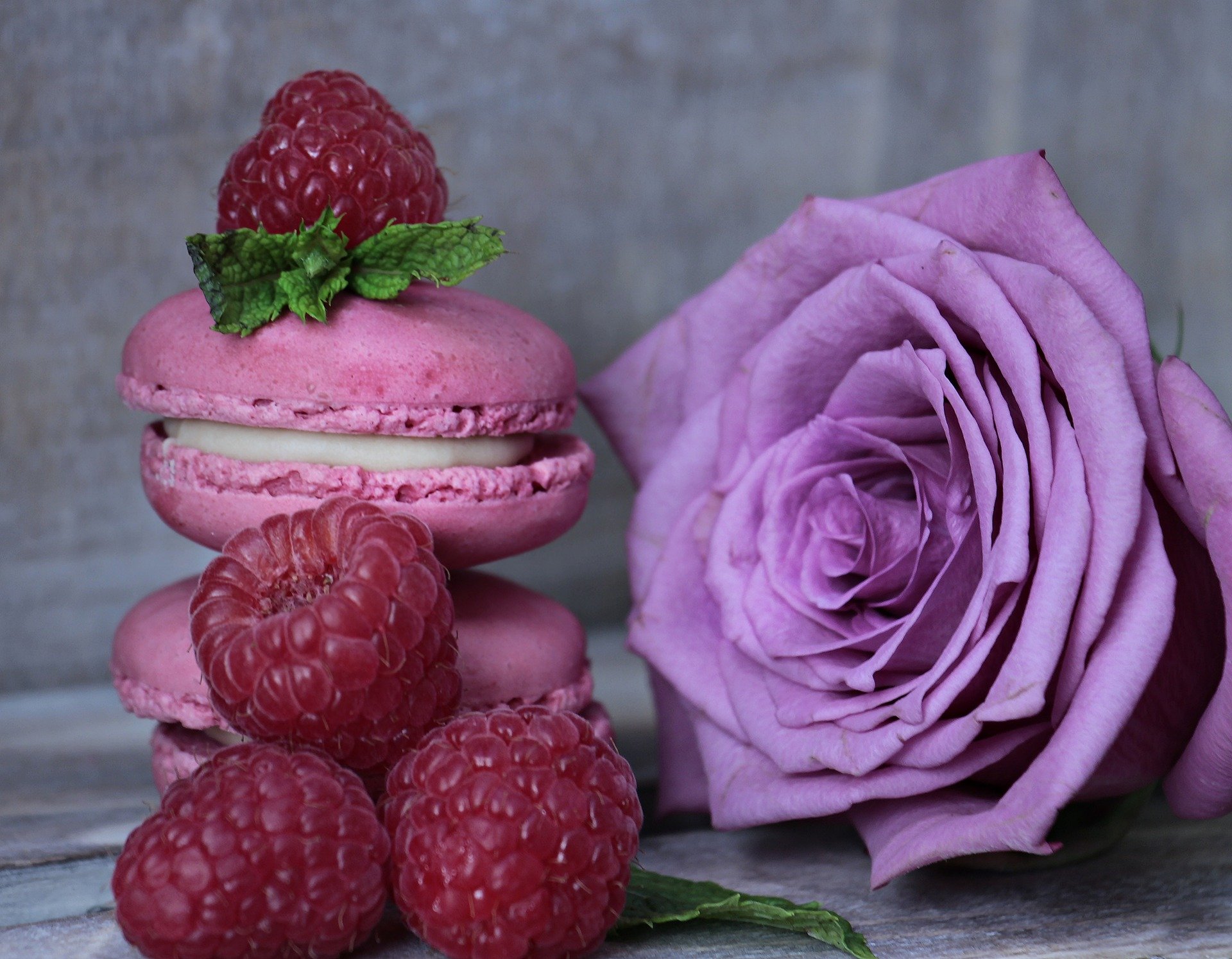 macarons and french food